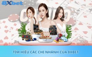 Tìm hiểu các chi nhánh của 8XBet